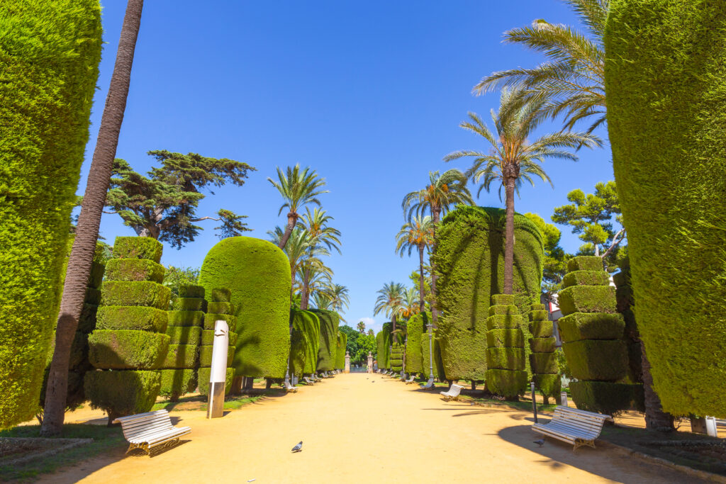 Genovese Park in Cadiz