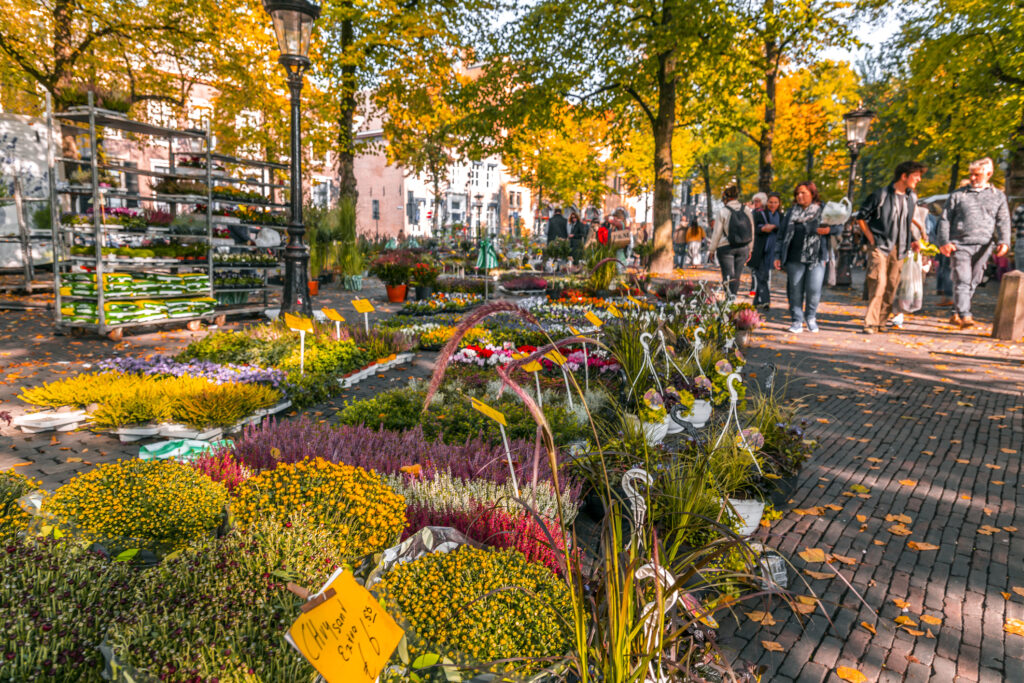 Utrecht Flower Market