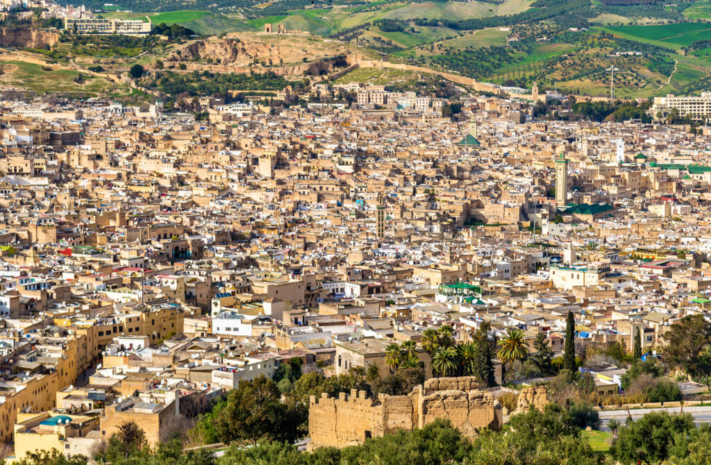 Panorama of old medina in Fes
