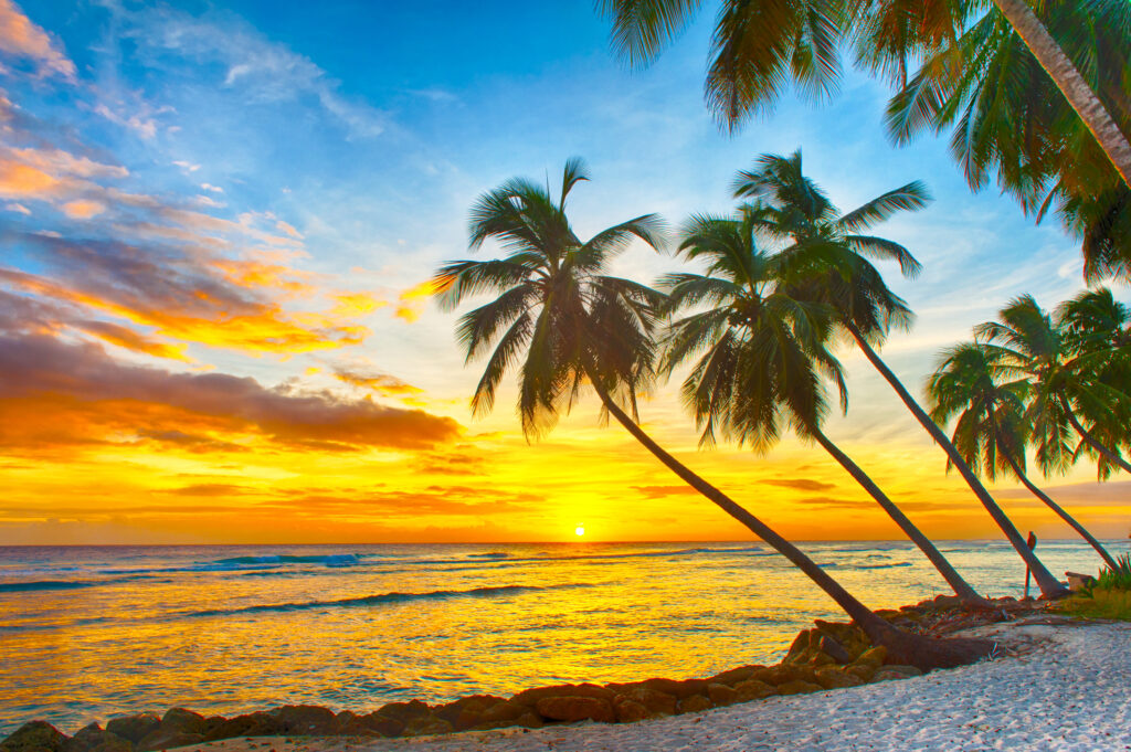 Beautiful sunset over the sea with a view at the palm trees on the white beach on a Caribbean island of Barbados