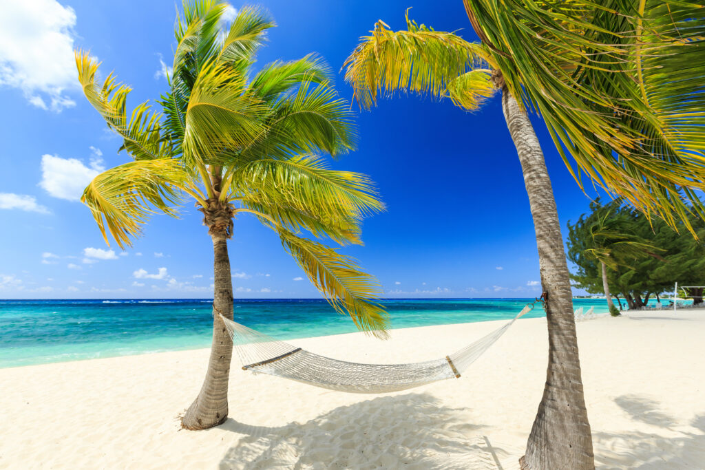 Hammock and palm trees at the 7-mile beach, Grand Cayman