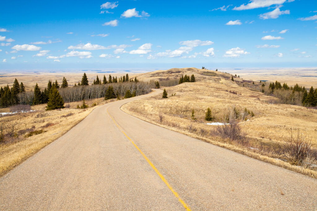 A road though Cypress Hills Interprovincial Park, Alberta, Canada