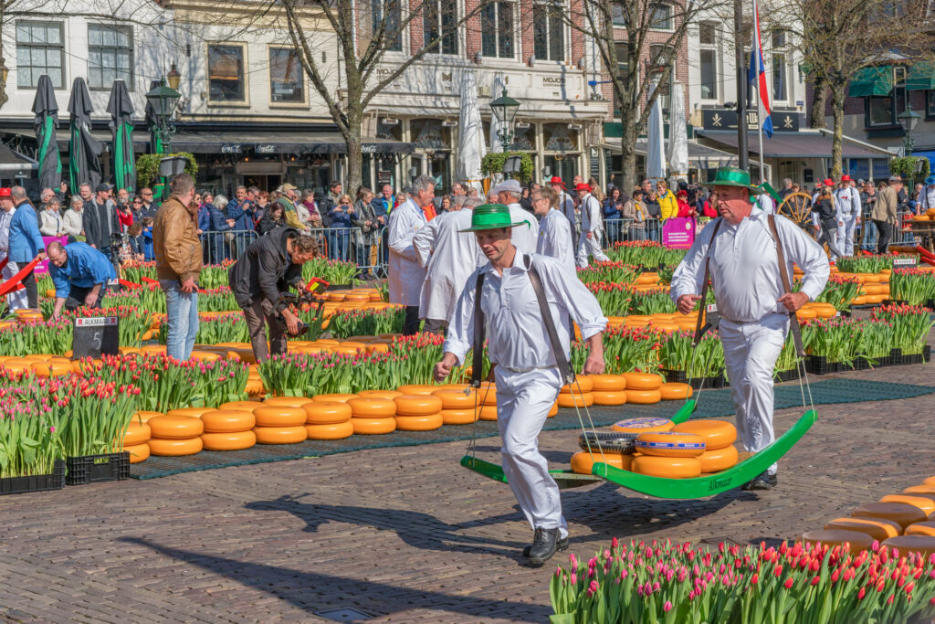 Traditional cheese market on the Waagplein square in Alkmaar
