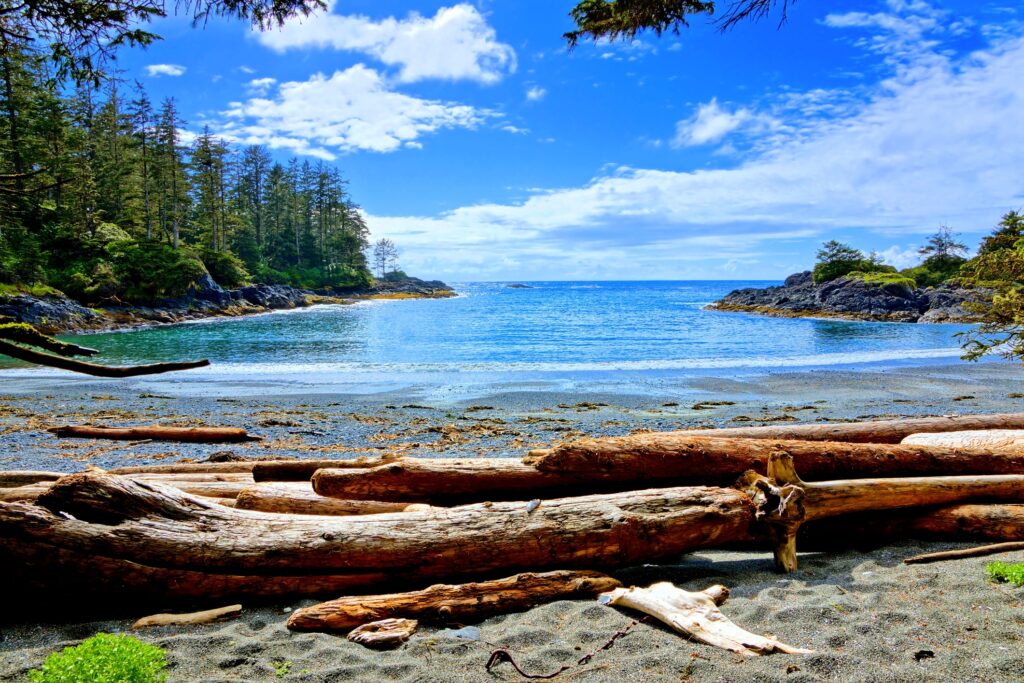 Blue water and sky along the coast of Pacific Rim National Park, Vancouver Island BC Canada