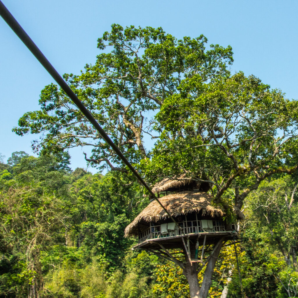 Tree house 5 in Laos Nam Khan National Park at the Gibbon Experience near Huay Xai