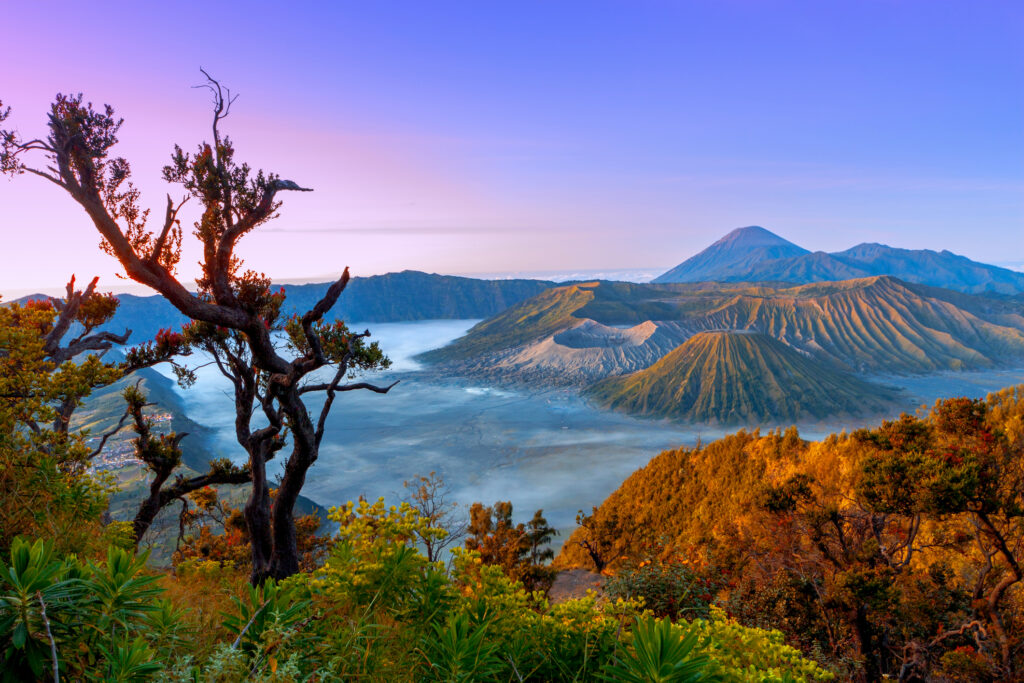 Volcanoes in National Park Bromo Tengger Semeru at sunrise Java, Indonesia