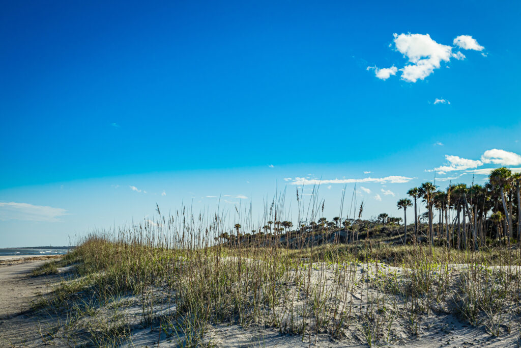 The beach, dunes, and sea oats at Amelia Island near the town of Fernandina Beach, Florida